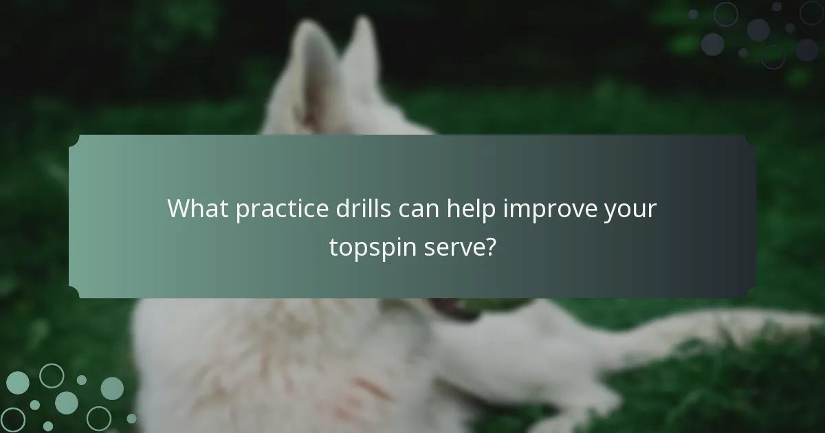 What practice drills can help improve your topspin serve?