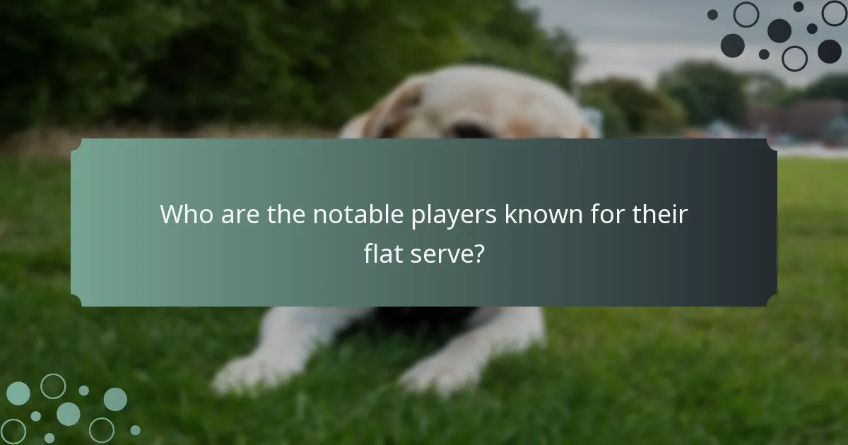 Who are the notable players known for their flat serve?